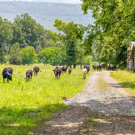 Quail Run Farm- Rustic Tiny Home 2